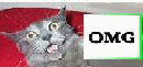 OMG_KITTY :omg: